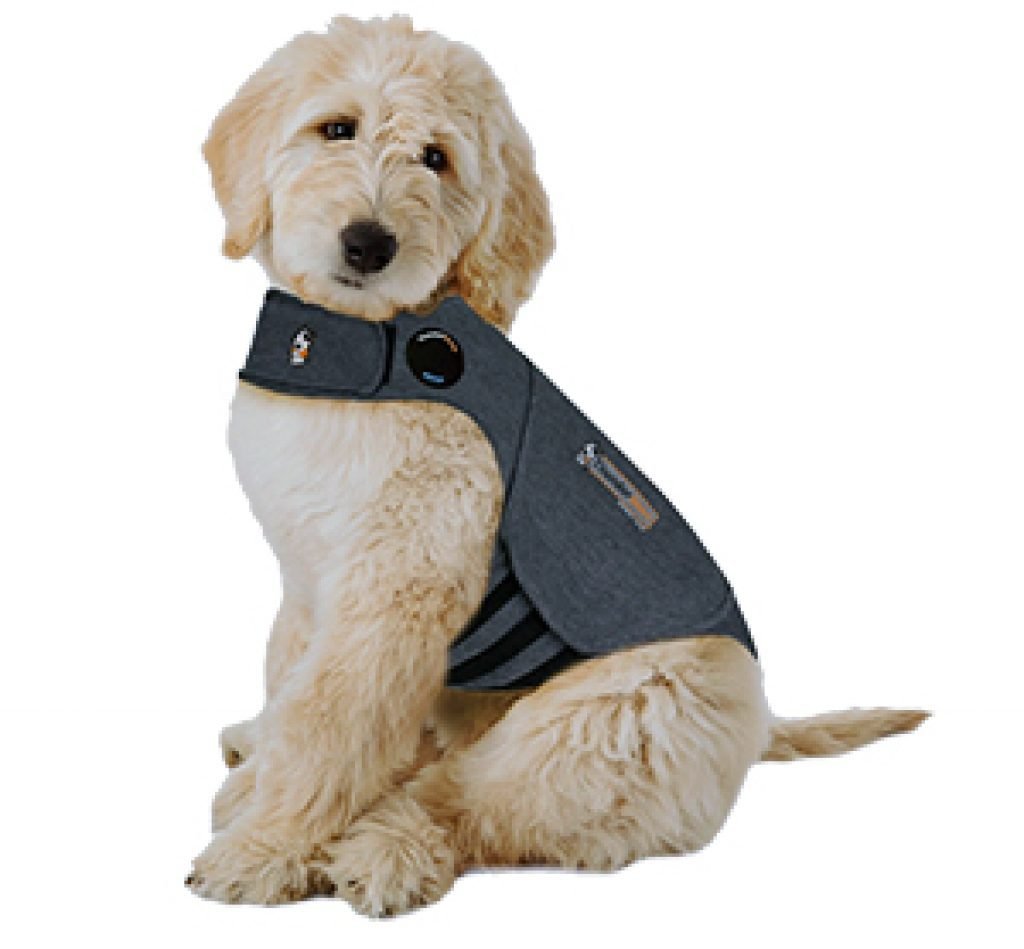 Dog Gifts Best Dog Gifts Ideas for Christmas