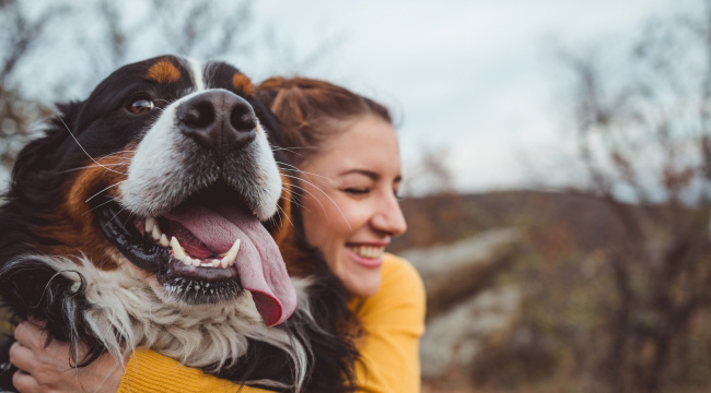 Tips For A First Time Dog Owner