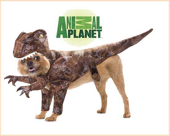 Animal Planet Raptor Dog costume