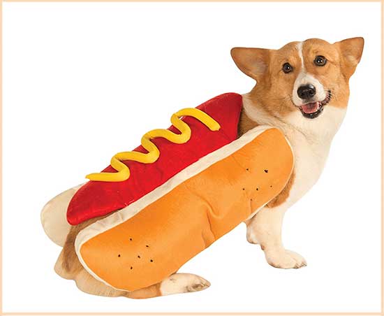 Casual Canine Hot Diggity Dog Pet Costume