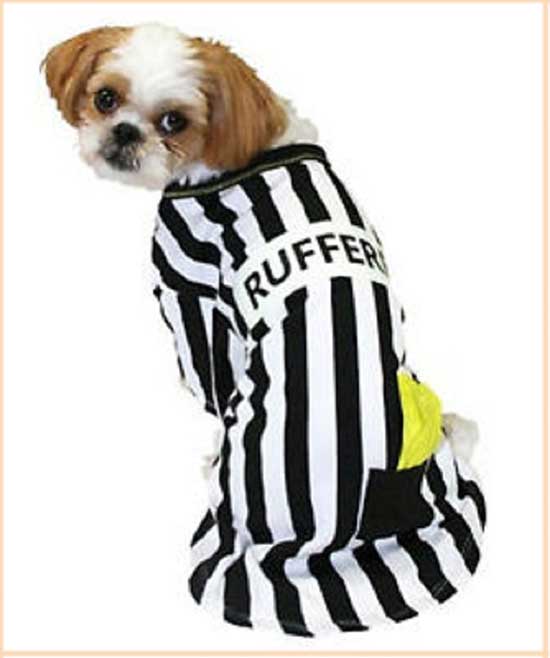 Referee striped dog costume