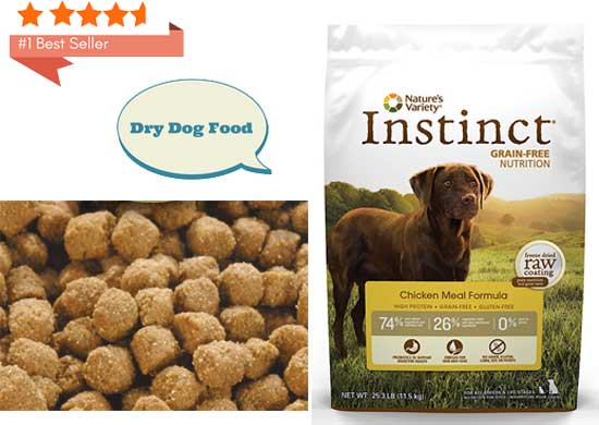 best dry dog food