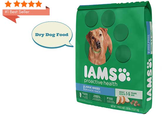 best dry dog food