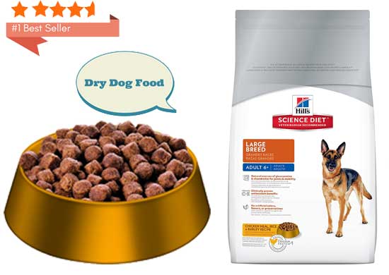 best dry dog food