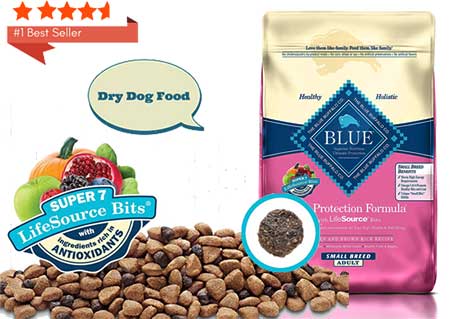 best dry dog food