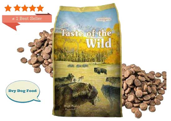 best dry dog food