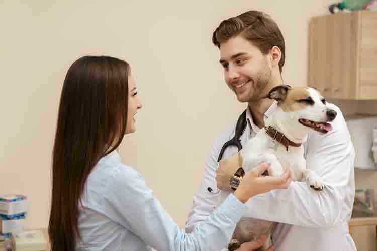 questions to ask your vet on the first visit
