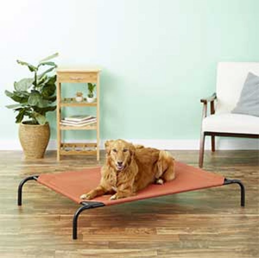 Top 10 Best Dog Beds The Comprehensive Reviews (Updated)