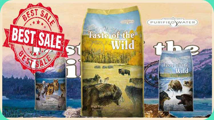 aste of the Wild Dry Dog Food