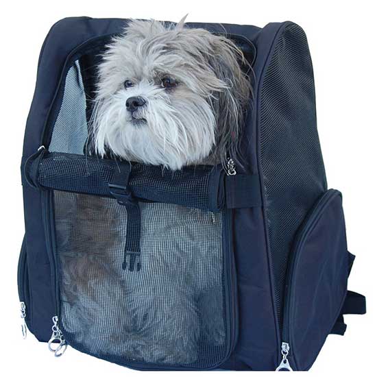 Backpack Pet Carrier