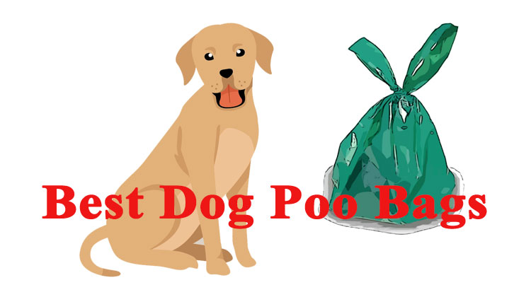 Best Dog Poo Bags