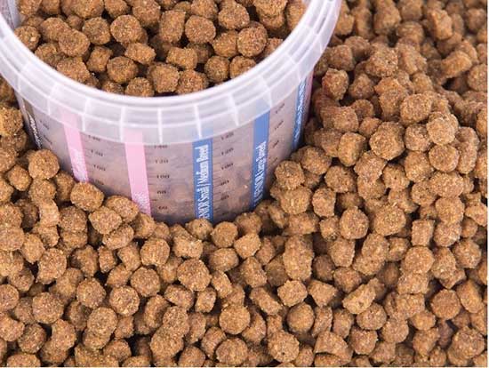 Dog Food and Nutrition Tips