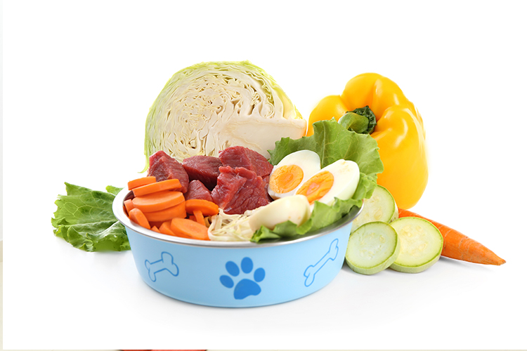 dog nutritional requirements