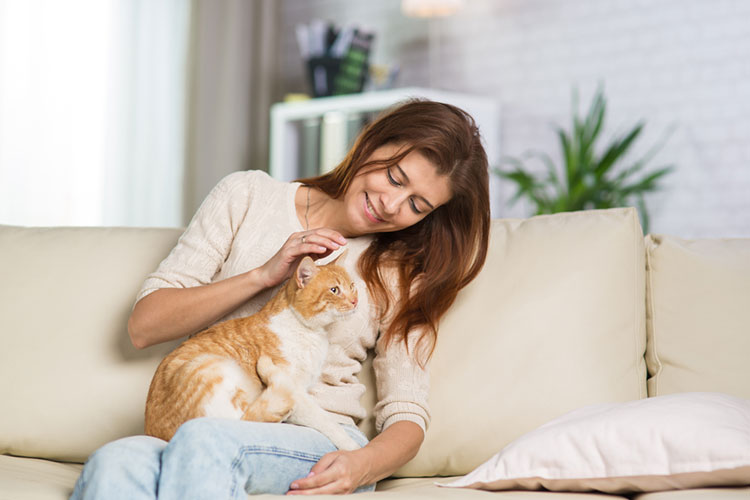 tips for new cat owners