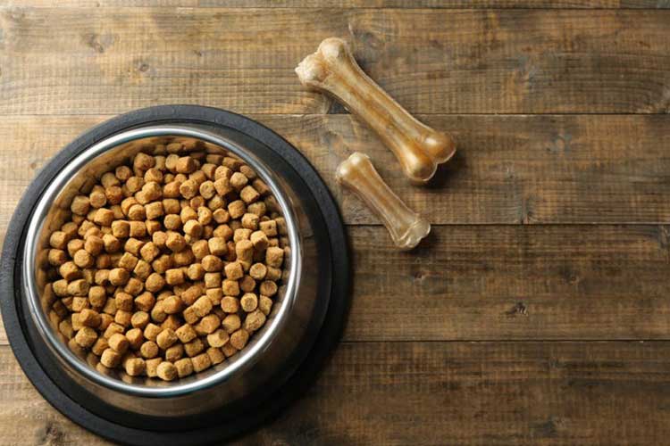best dog food for ear infections