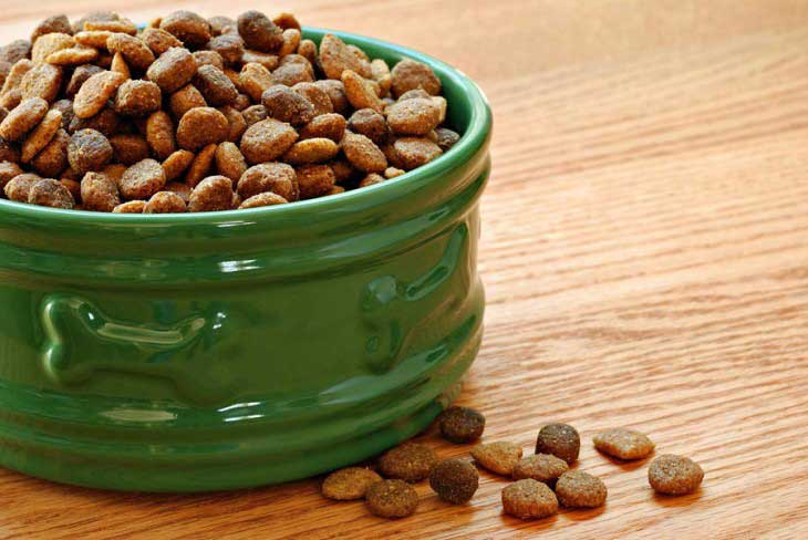 dry dog food for ear infection