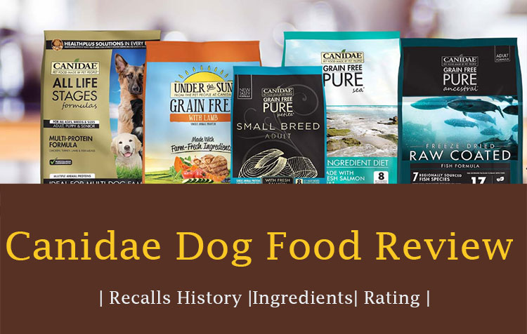 Canidae Dog Food Review