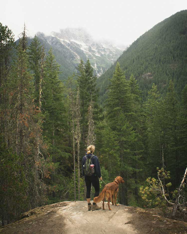 hiking with dog