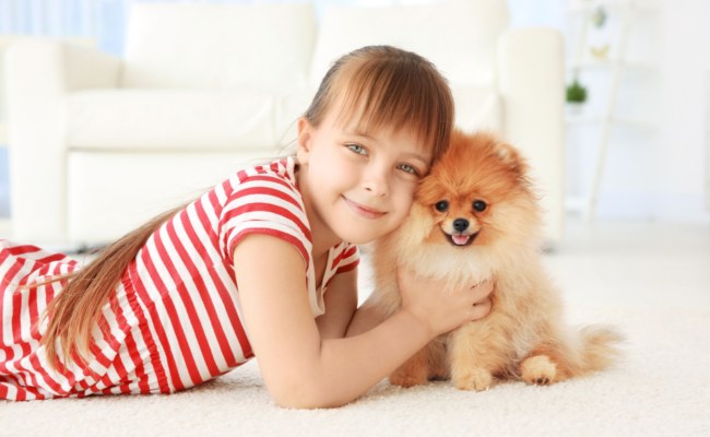small dog breeds for families