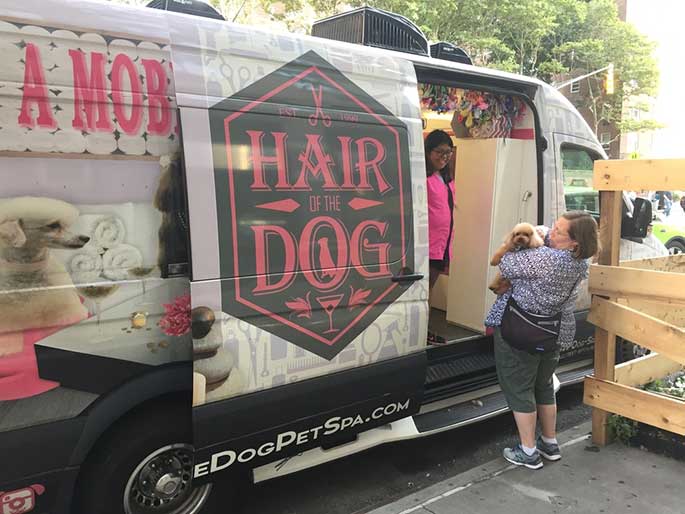 Best Mobile Dog Grooming