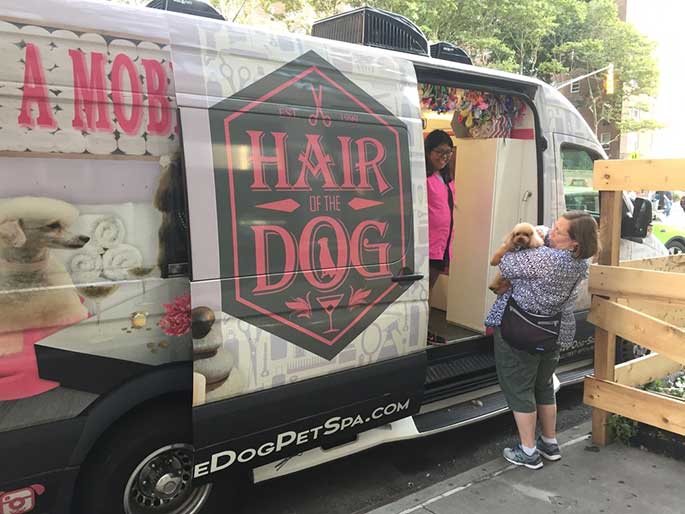 Top Best Mobile Dog Grooming in the world Learn more here 