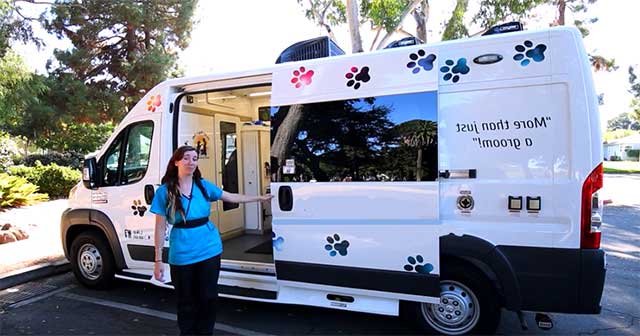 pet grooming van