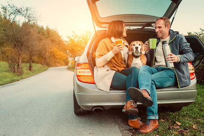 Tips for First-Time Fur Parents When Having Road Trips With Dogs