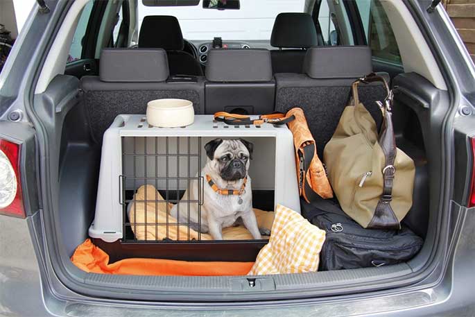 Travel Crates and Carriers for Small Dogs