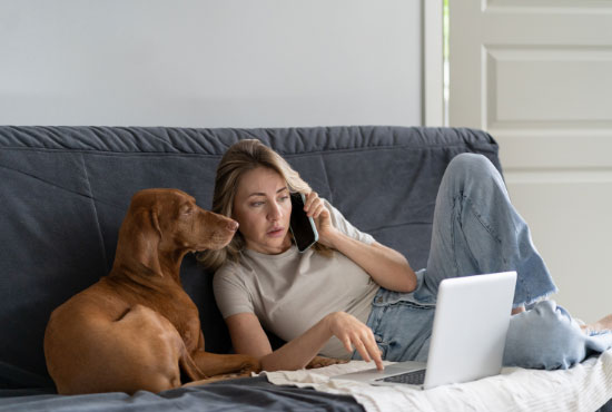 Vizsla dog breed is the ultimate Velcro dog