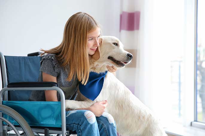 Assistance Dog Laws in Nebraska