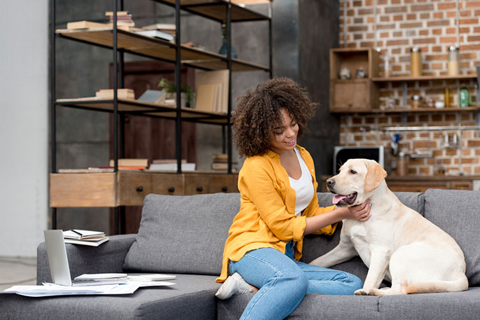 How to make your pet comfortable in your home