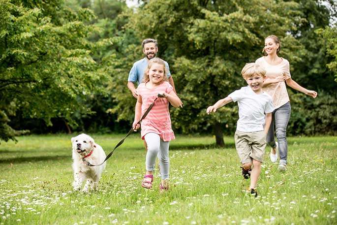 what breed of dog is best for families