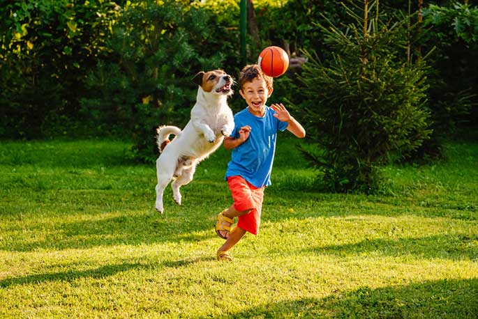 The Pros and Cons of Using a Pet to Teach Your Child Responsibility