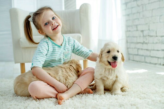 Reasons Why Kids Should Have Pets