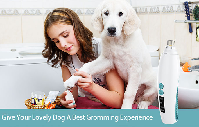 Best Dog Nail Grinder