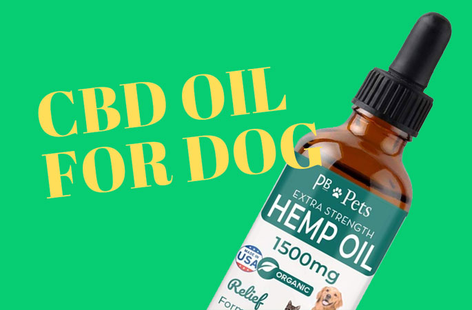 cbd oil for dogs