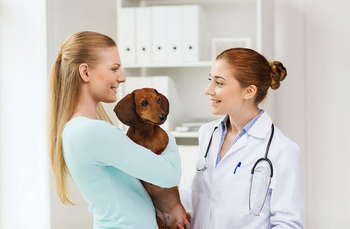 Why You Should Do Routine Vet Visits for Your Dog