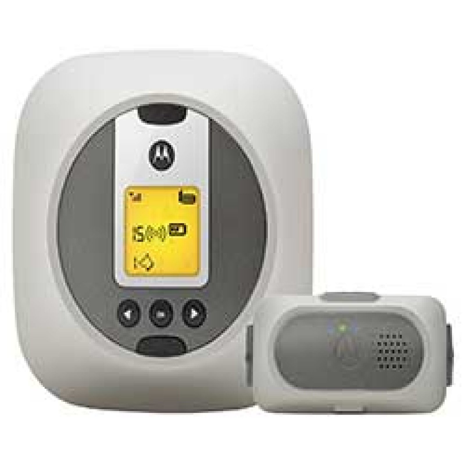 Top 5 Best Wireless Dog Fences