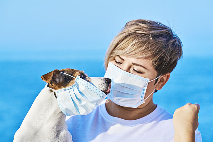 Hygiene Rules Pet Owners Should Follow During This Pandemic