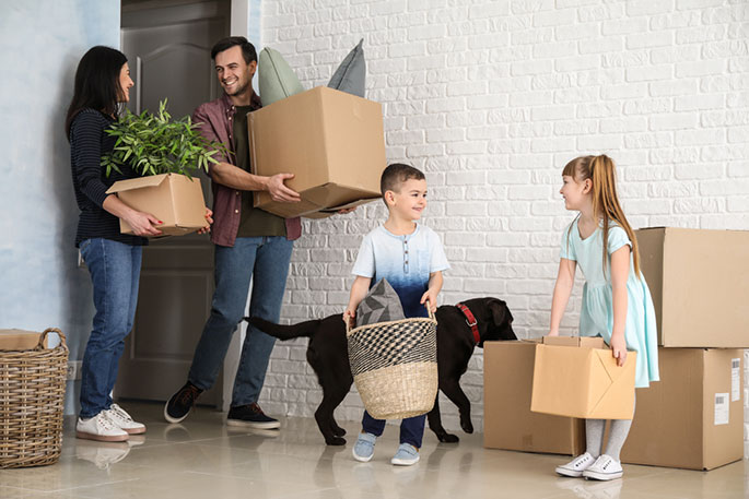 Moving With Cats and Dogs