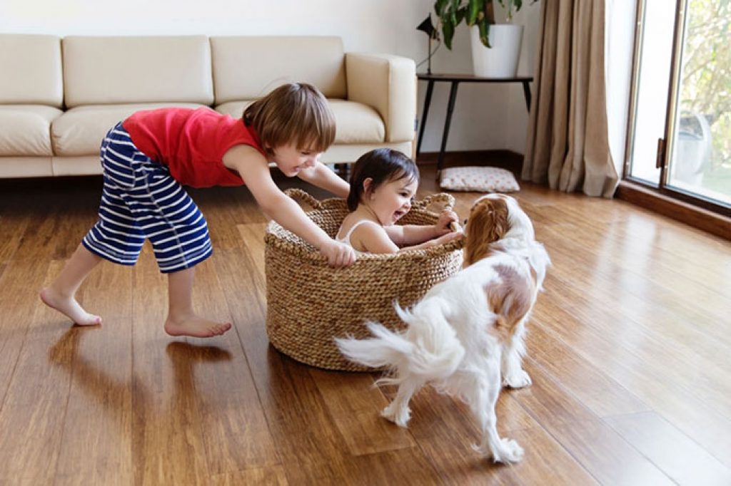 Train Your Dog to Play Nice With Children and Babies