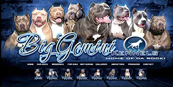 Big Gemini Kennels