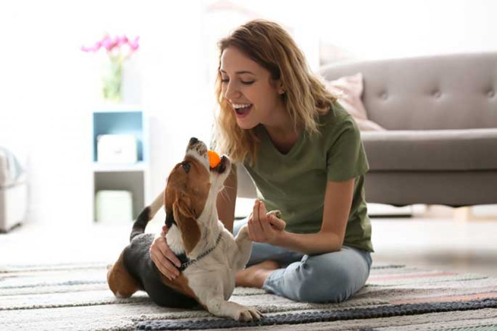 7 Products to Mentally Stimulate Your Dog