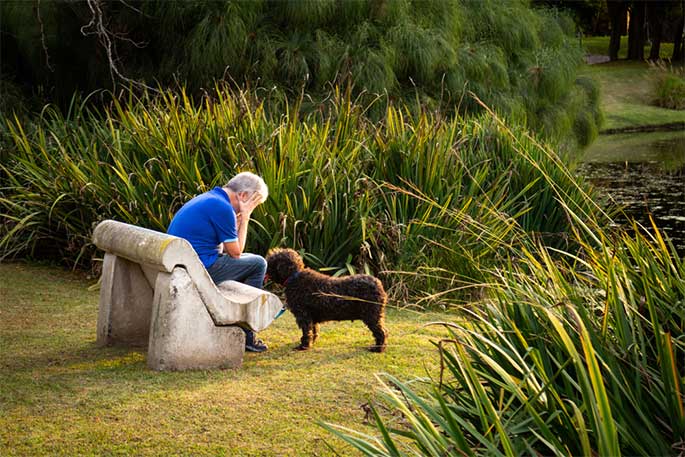 How Service Dogs Help Humans with Anxiety and Depression