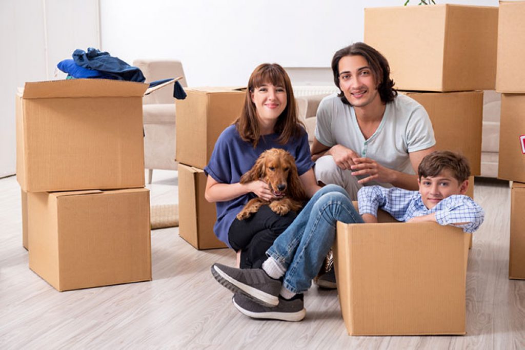 International Pet Movers in Singapore