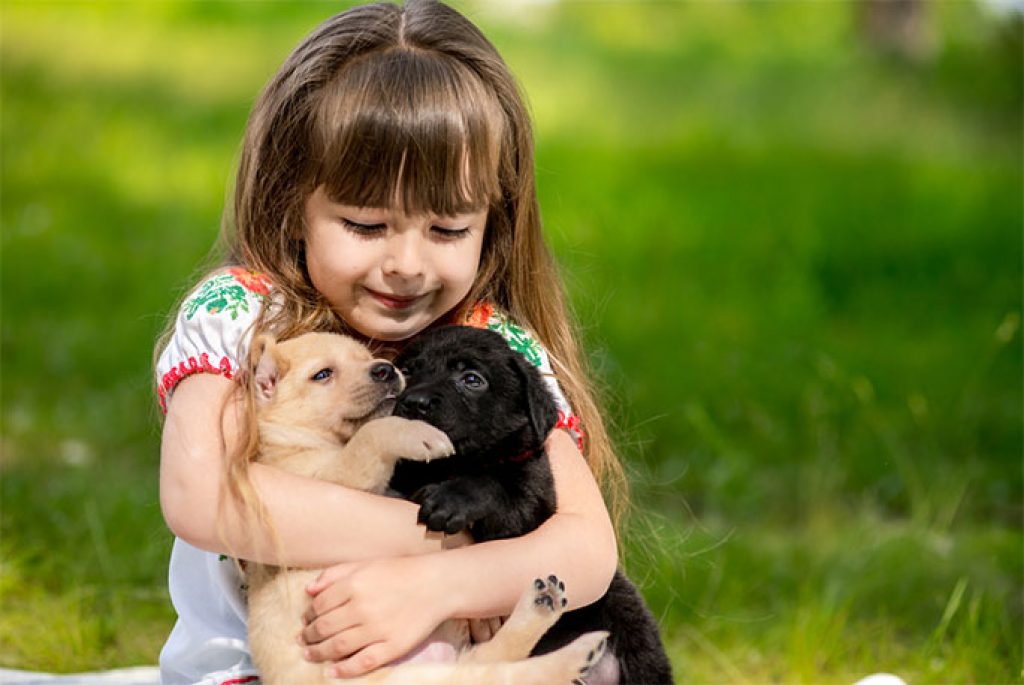 Kids and Pets Get Along