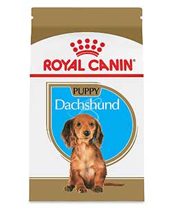 Royal Canin Breed Health Nutrition Dachshund Puppy Dry Dog Food