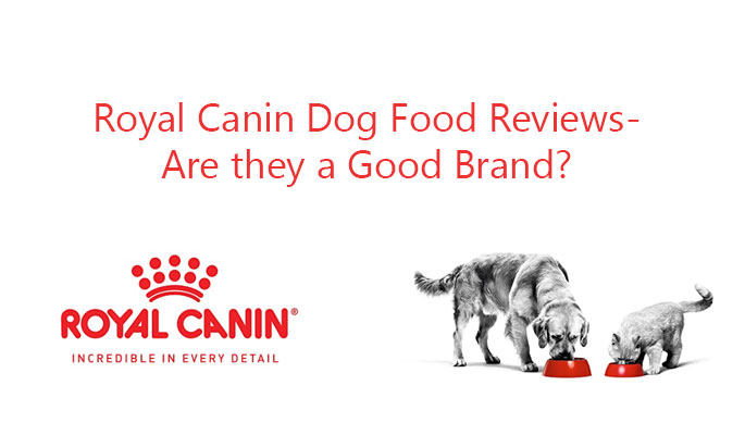 Royal Canin Dog Food Reviews- Are they a Good Brand?