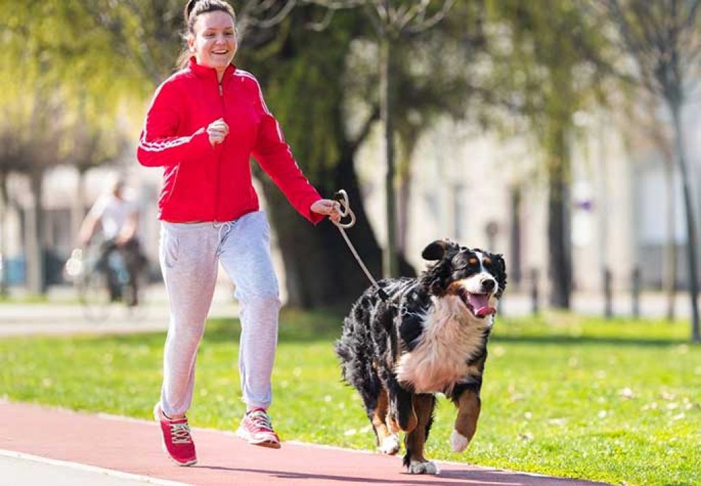 Running With Your Dog