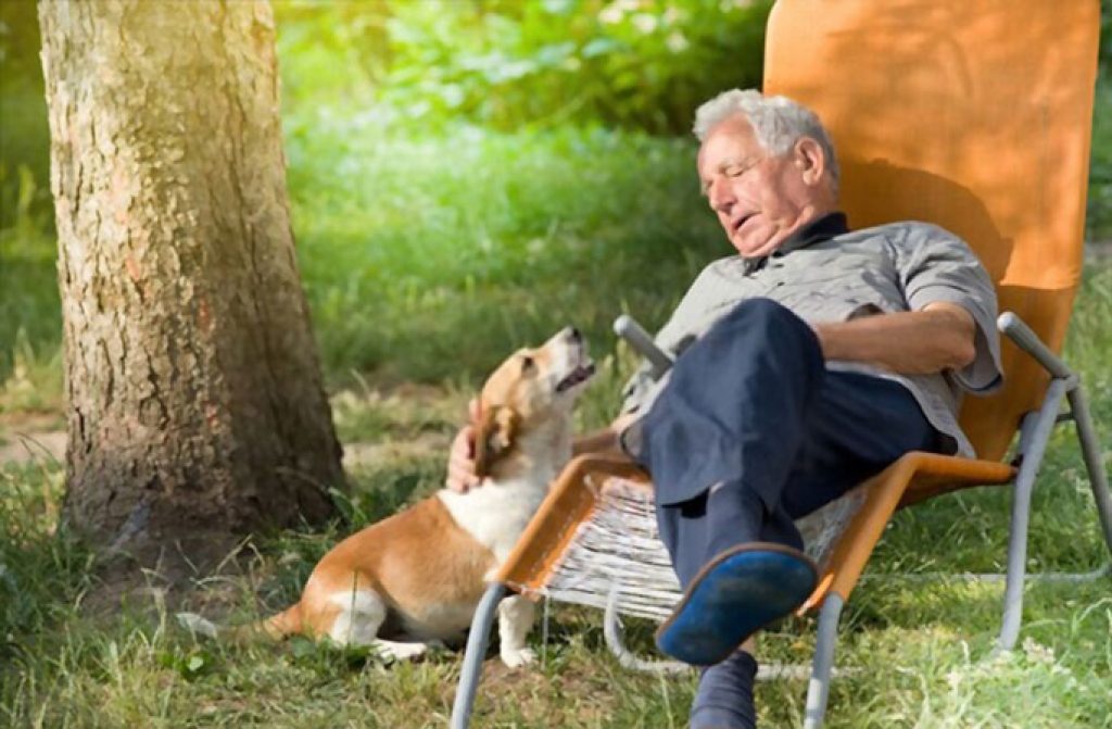 Why Dogs Are Great for Retirees